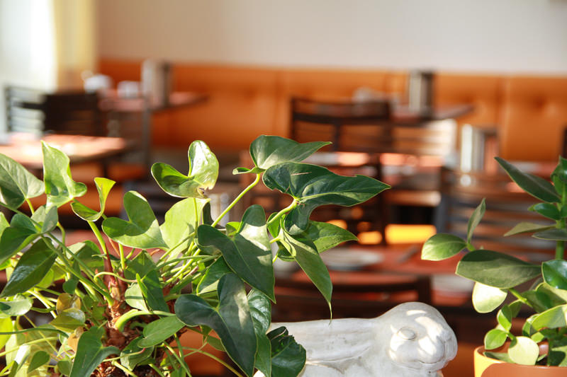 Stadthotel Berggeist
